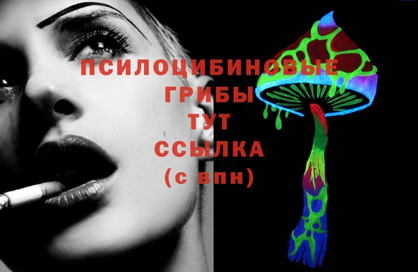 гидропоника Володарск