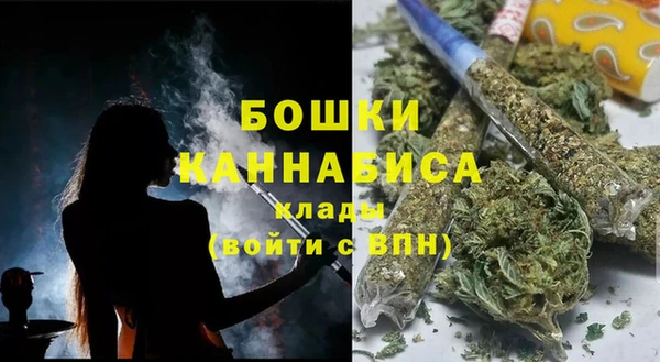 МДПВ Вяземский