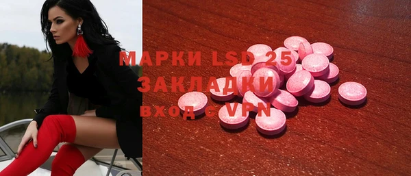 стаф Вязьма