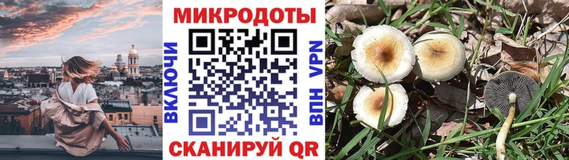 Галлюциногенные грибы GOLDEN TEACHER Ейск