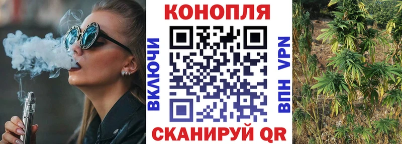 Бошки Шишки тримм где найти Ейск